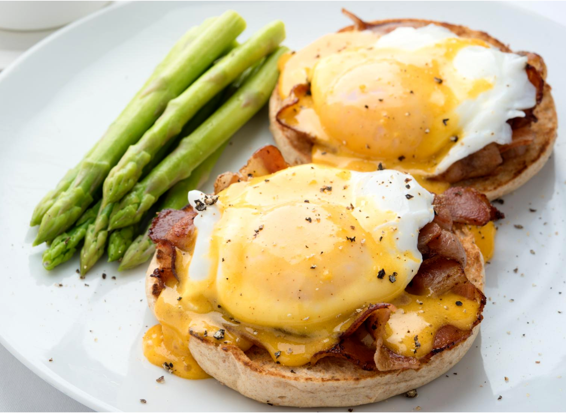 Oeufs Bénédicte bacon & Truffe